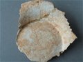 龙泉窑溪口瓦窑垟遗址考古发掘取得成果