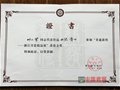 叶小军作品“怀情”再次喜获金奖
