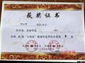 叶小军作品“洗”喜获“大地奖”金奖