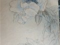 艺术源于生活——陈扬龙的艺术人生