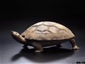 日本美秀美术馆藏中国古代陶器欣赏〈一〉