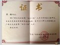 陈梅大师荣获首批广西文化名家暨“四个一批”人才